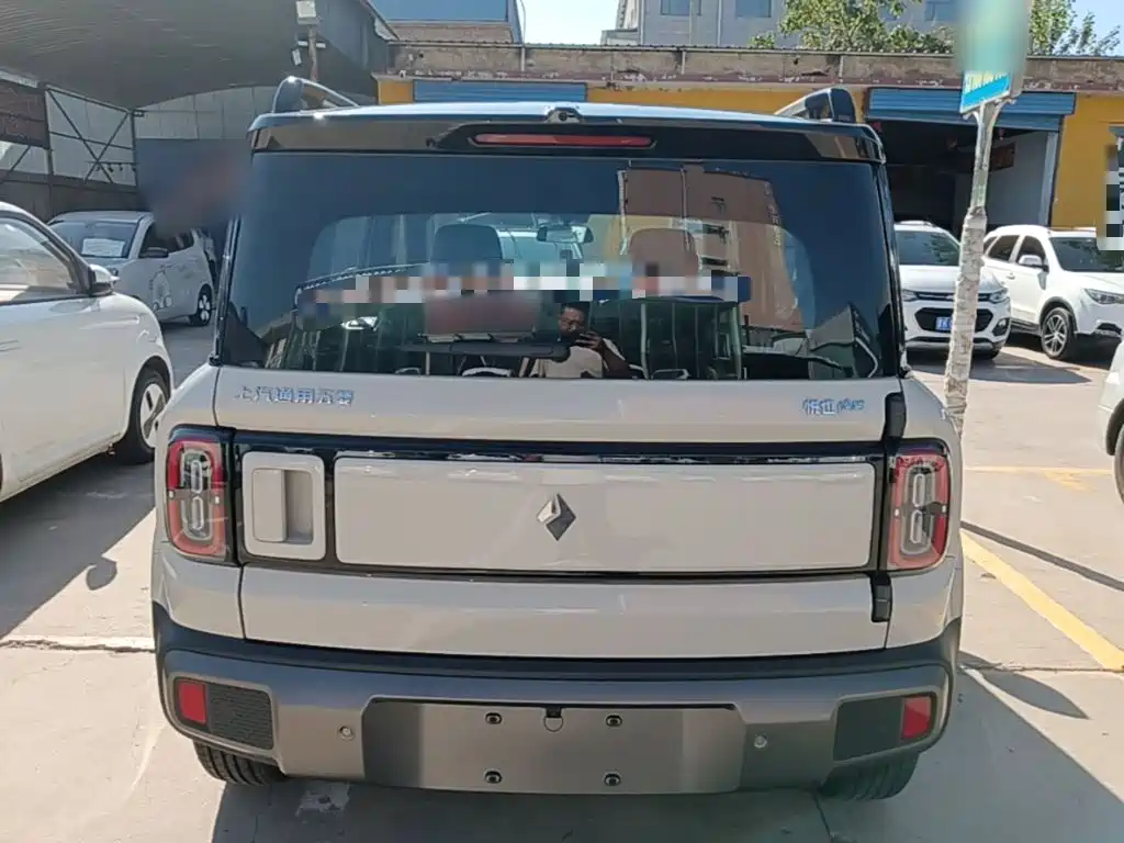 Baojun Yueye Plus 2026 2026 301km Flagship