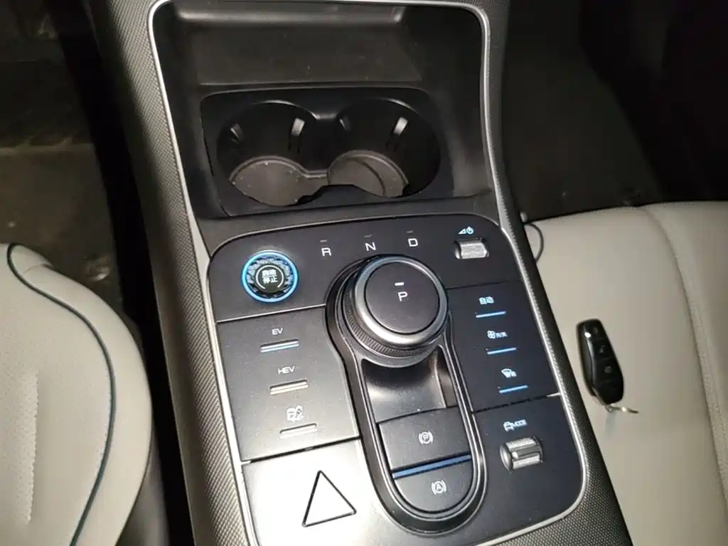 BYD Destroyer 05 2025 2024 Glory Edition DM-i 55KM Luxury