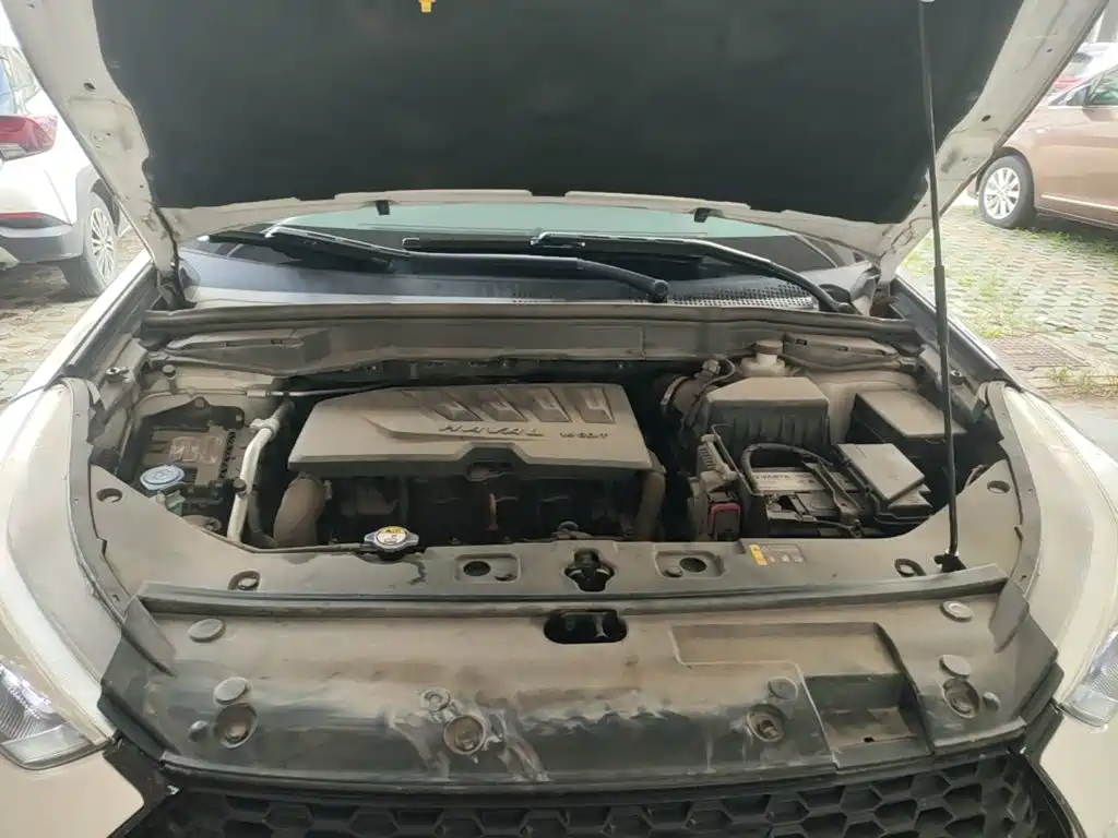 Haval H6 Coupe 2018 2018 Red Label 1.5T Auto 2WD Ultra Luxury