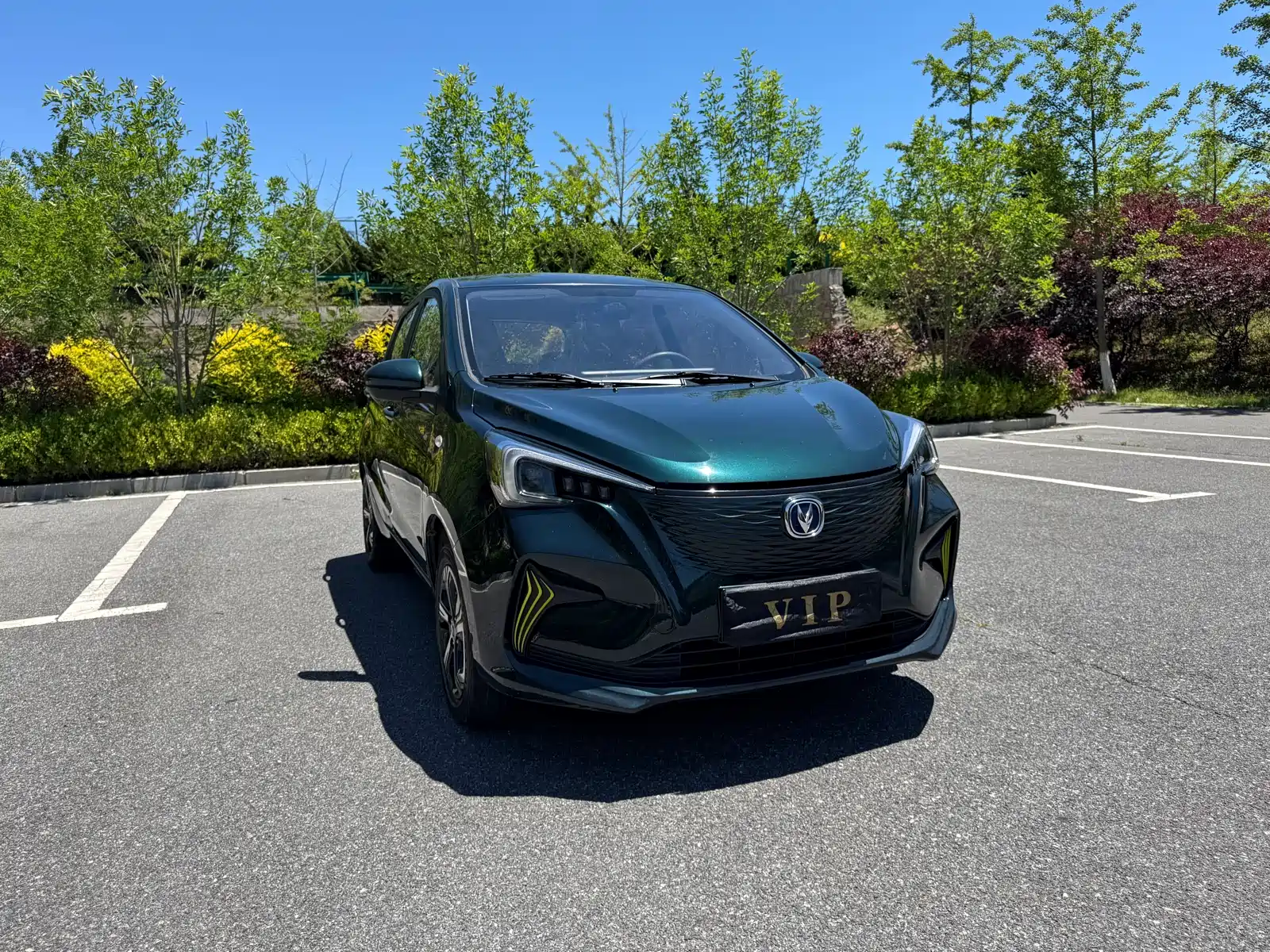 Фото 3 - Changan Benben E-Star
