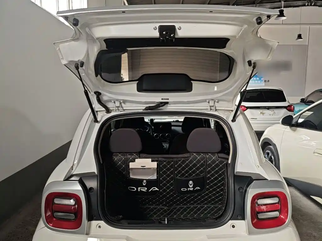 Ora Black Cat 2022 2022 351km Standard (NMC)