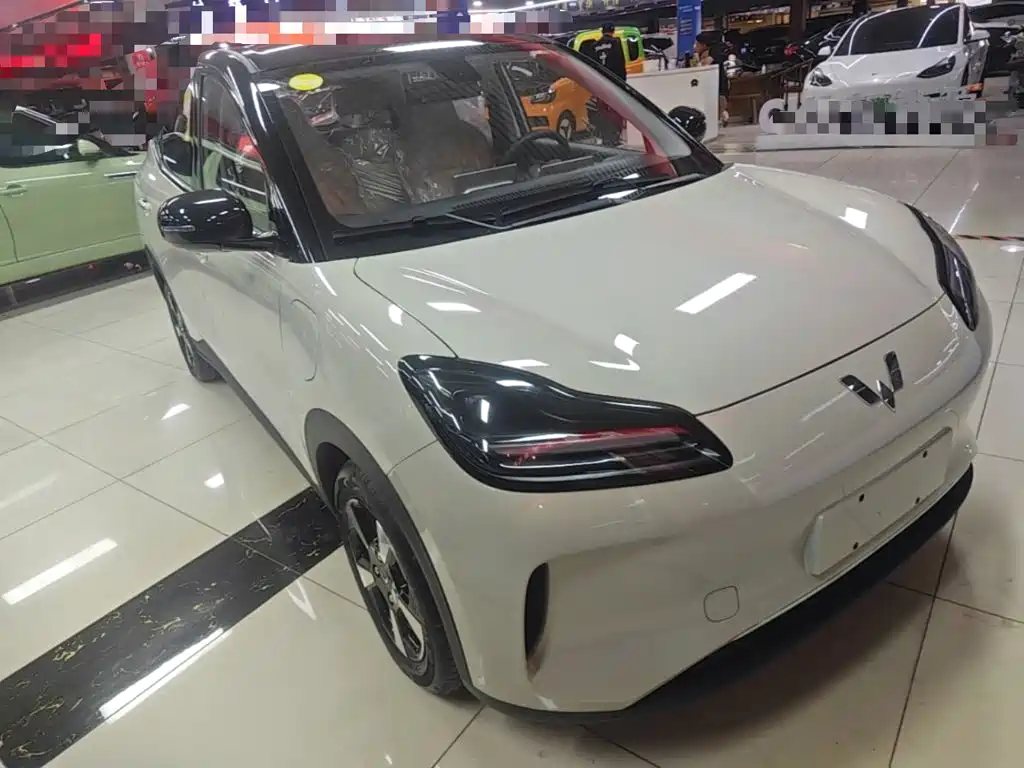 Wuling Motors Wuling Binguo PLUS 2026 2024 401km Range 5-seater