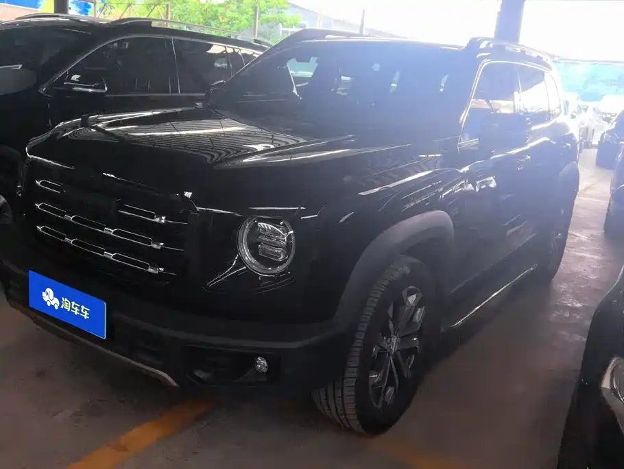 Haval Big Dog 2021 1.5T DCT 2WD Border Collie Edition