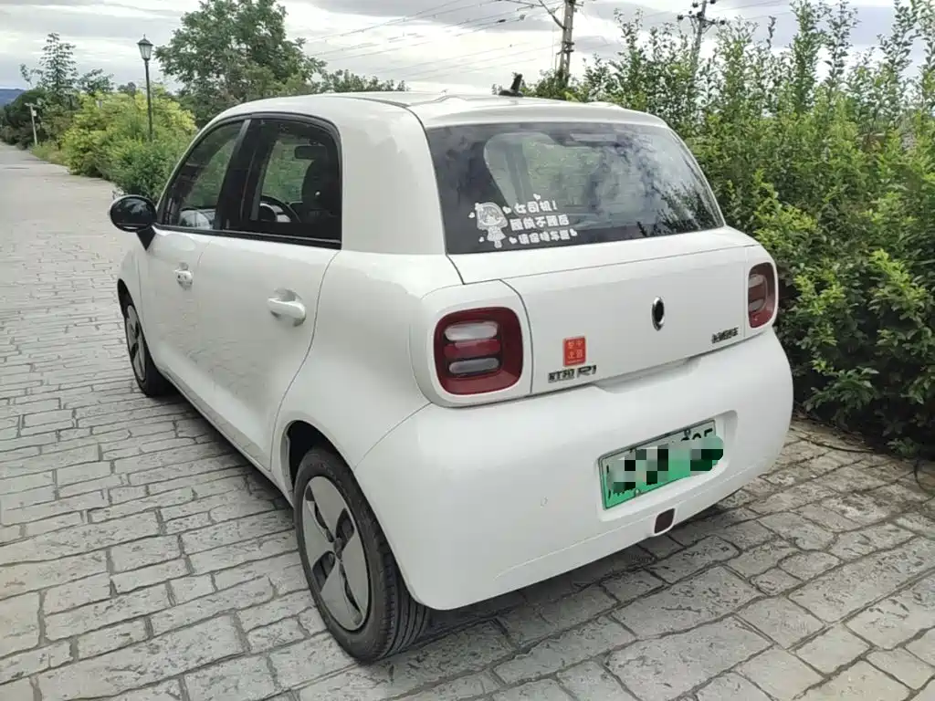 Ora Black Cat 2019 2019 Model 351km Smart Fun Edition