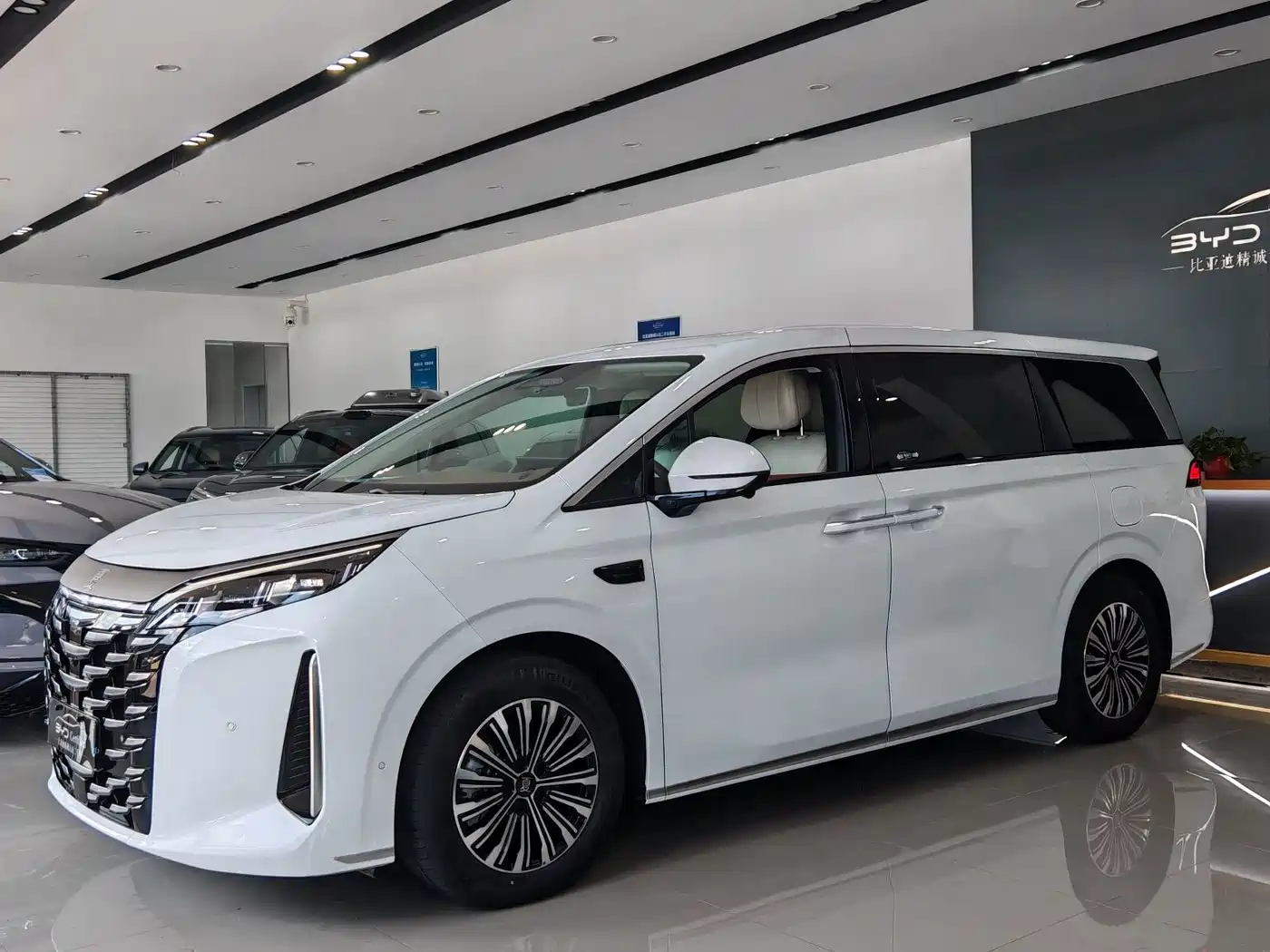 BYD Xia 2025 2025 DM-i 1.5T 180km Surpass Edition