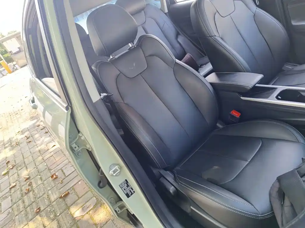 Nezha Auto Nezha V 2023 2022 Trend 300 Lite LFP