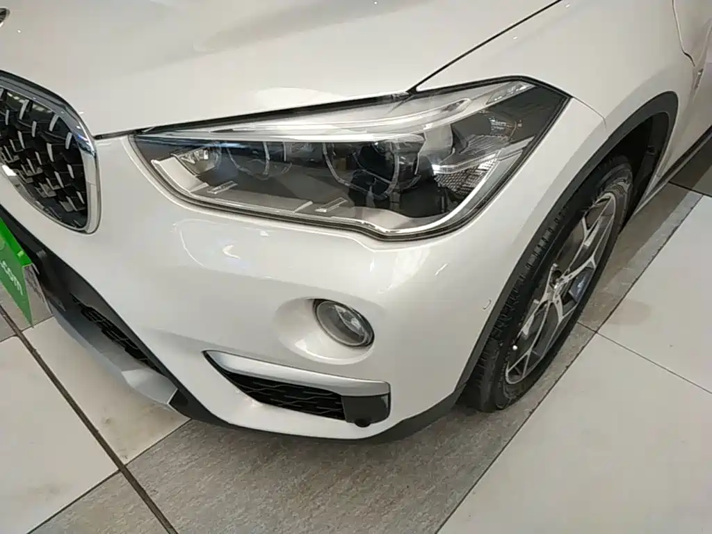 BMW X1 New Energy 2019 2018 xDrive25Le Luxury Model