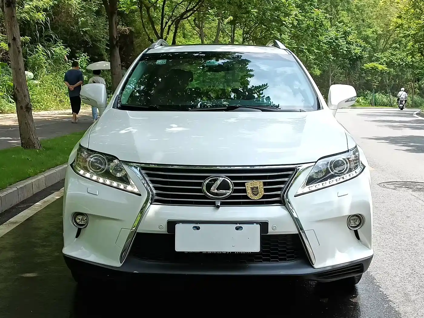 Lexus RX Classic 2015 2013 270 Elite