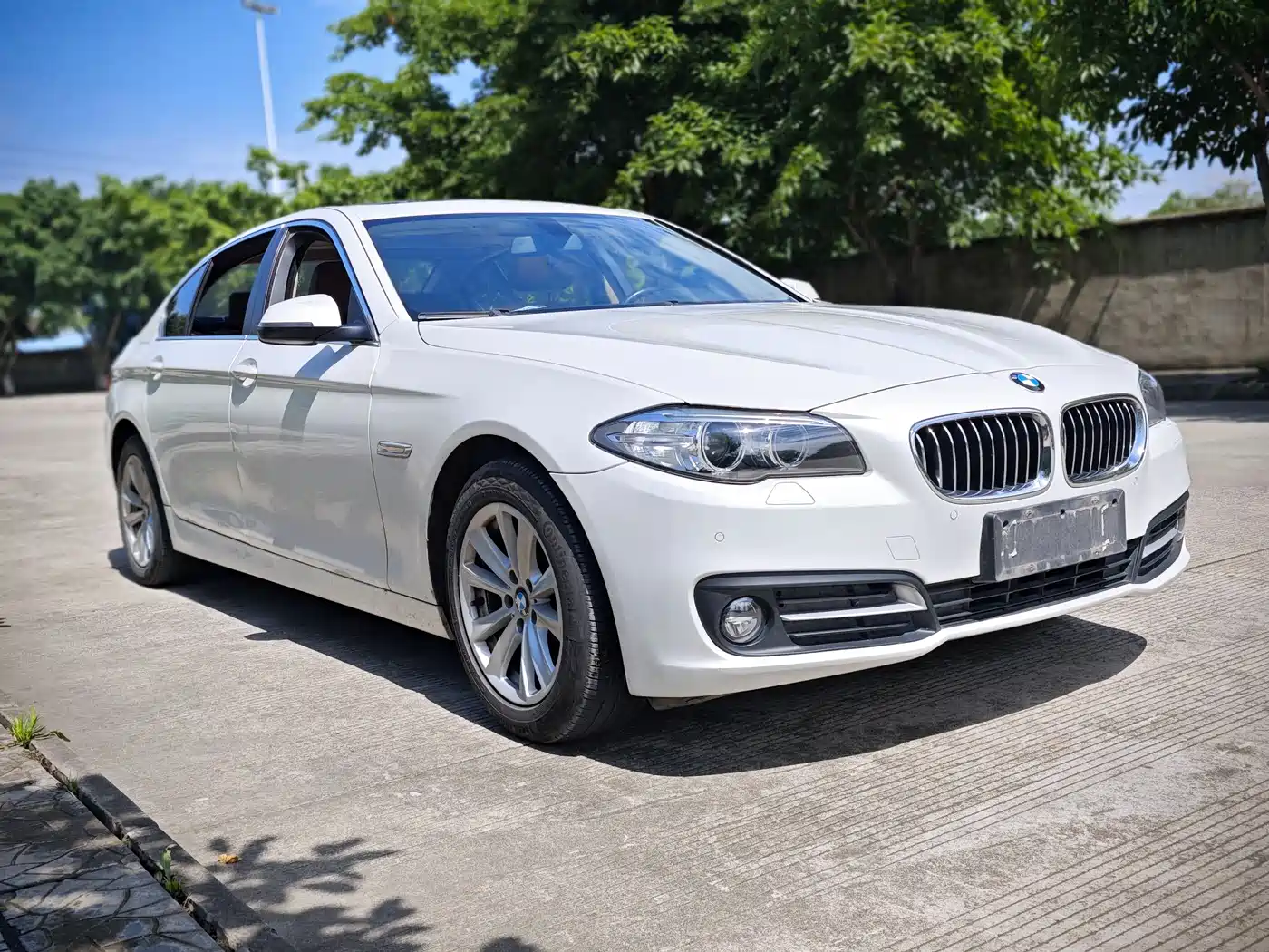 BMW 5 Series 2014 520Li Elegance фото 3