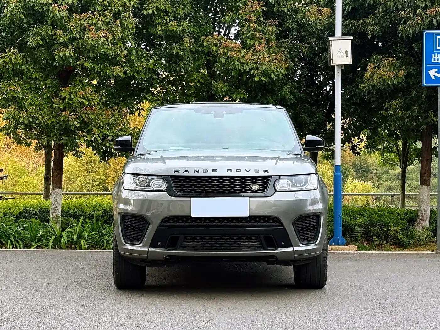 Land Rover Range Rover Sport 2017 3.0 SC V6 SE фото 2
