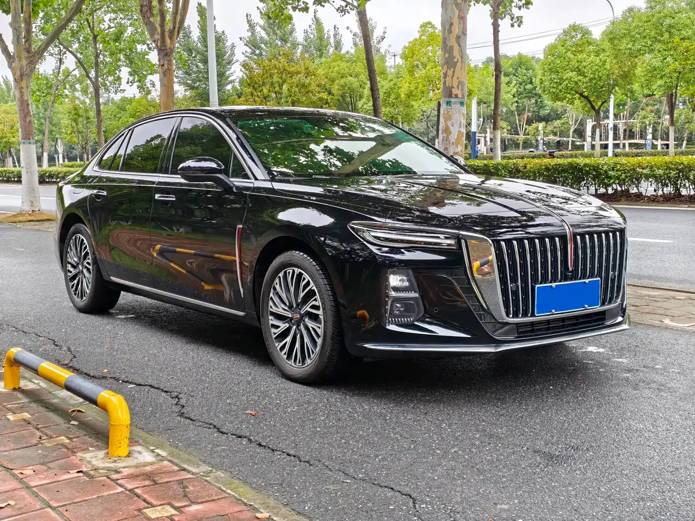 Hongqi H5 2025 2025 2.0T Automatic Flag Celebration 500,000 Units Anniversary Edition