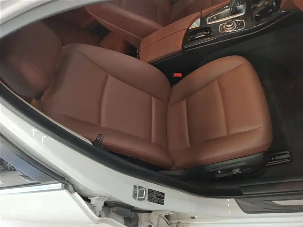 BMW 5 Series (Import) 2015 520i Elegance фото 24