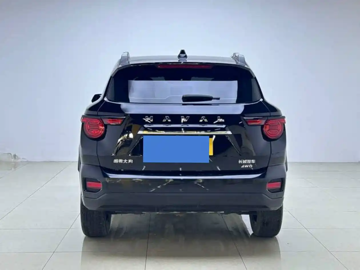 Haval Big Dog 2024 2.0T DCT Chinese Rural Dog Edition фото 6