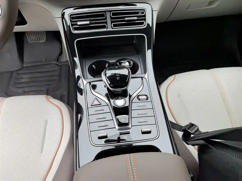 BYD Qin PLUS 2024 Glory Edition EV 420KM Leading фото 14