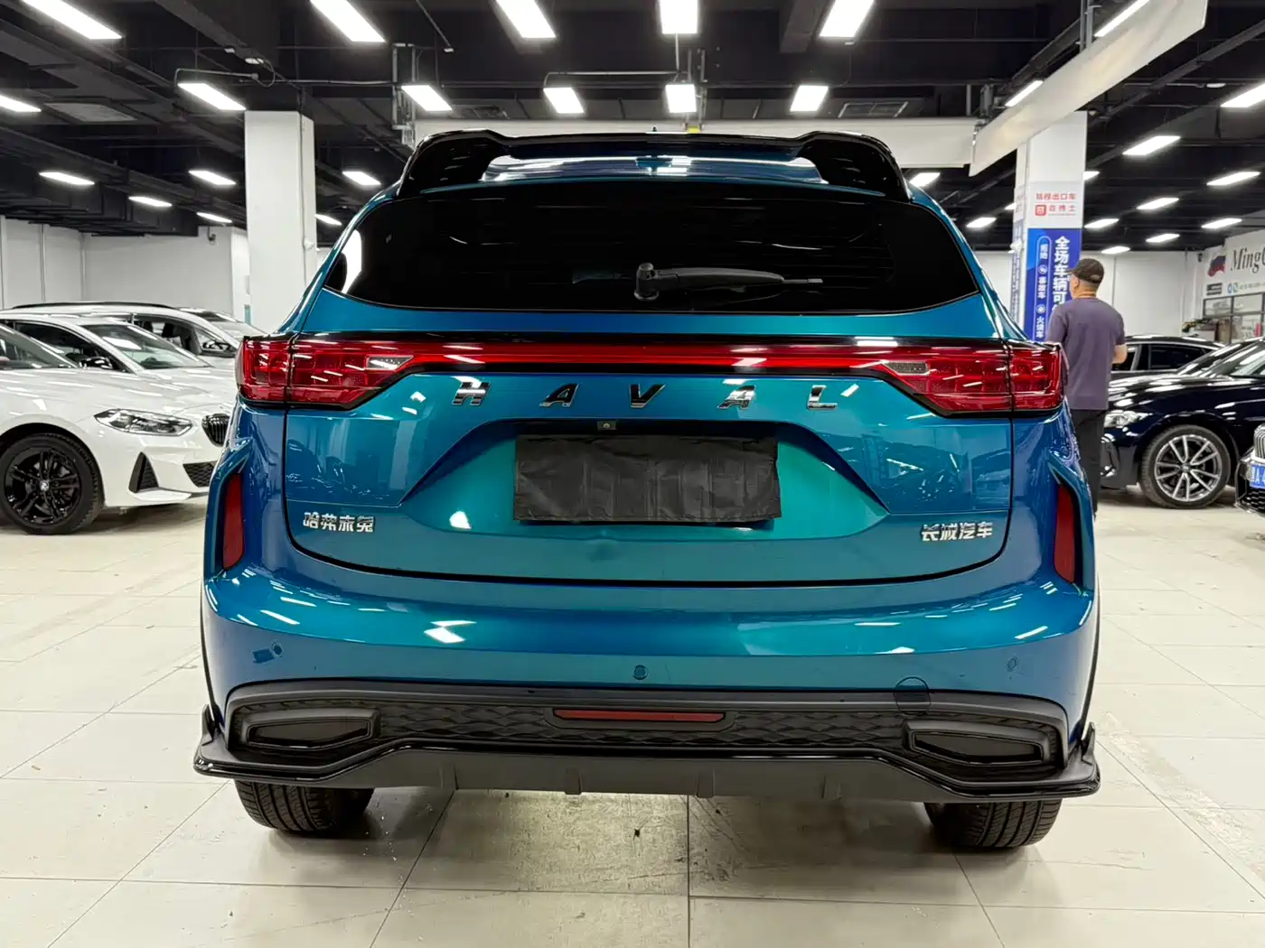 Haval Chitu 2022 2022 Power Edition 1.5T Purple Copper Rabbit