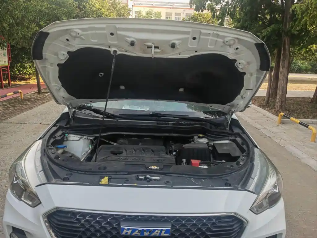 Haval M6 2018 2018 1.5T Manual 2WD Elite