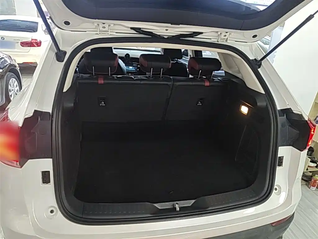 Haval H4 2019 1.5GDIT DCT Luxury Smart Connection China VI фото 19