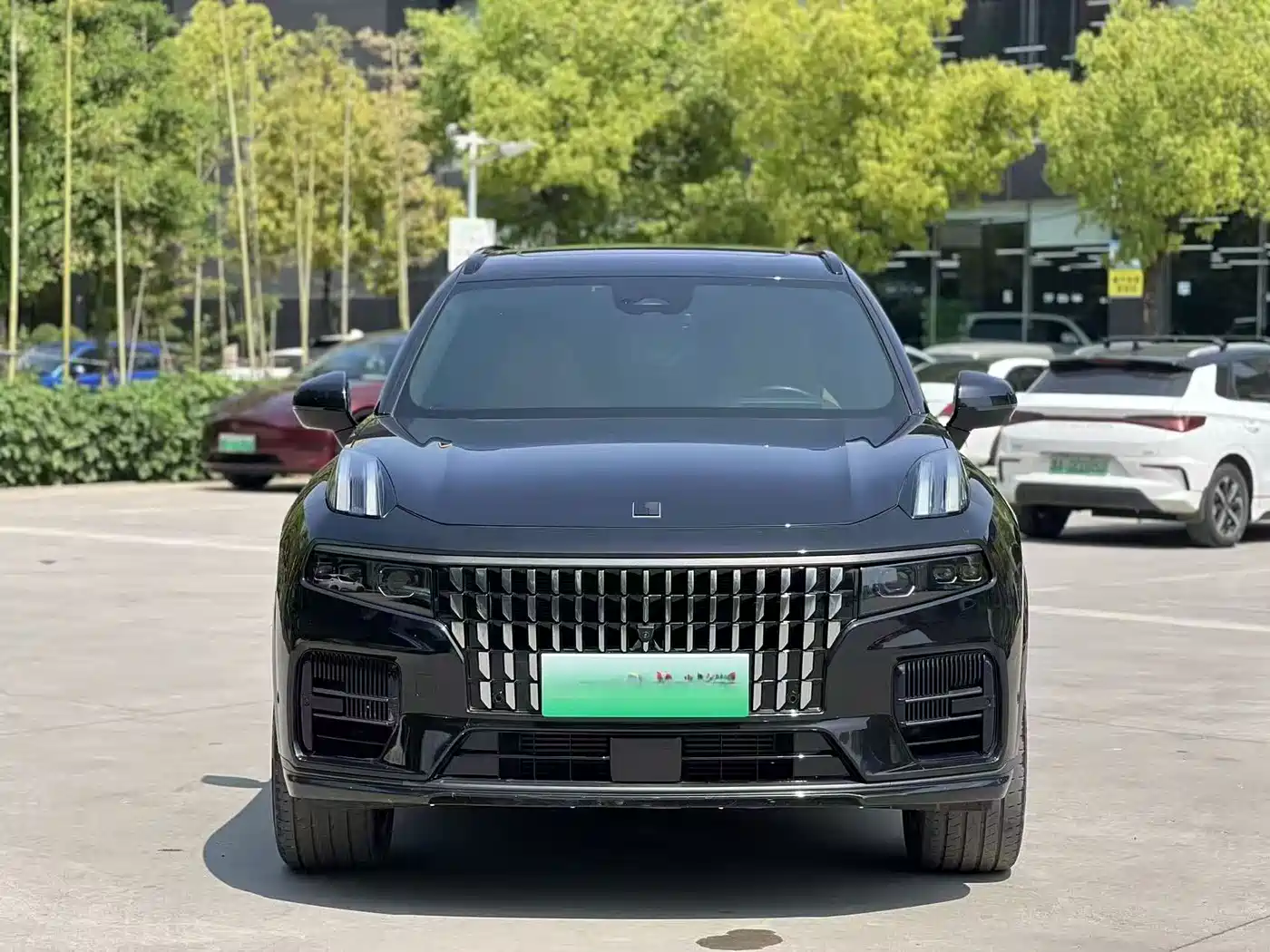 Lynk & Co 09 EM-P 2021 2.0T PHEV Ultra 6-seater фото 2