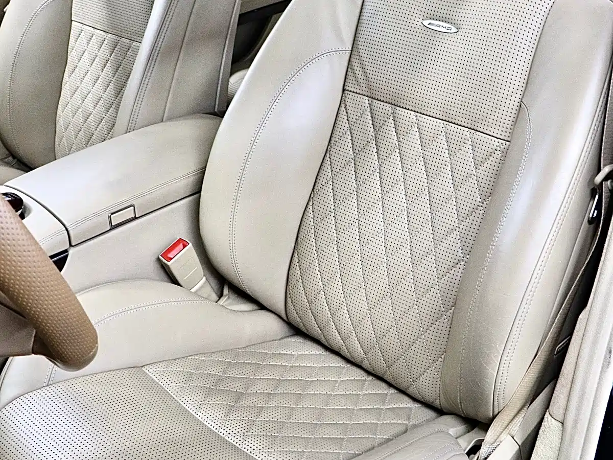 Mercedes-Benz S-Class AMG 2010 AMG S 65 фото 12