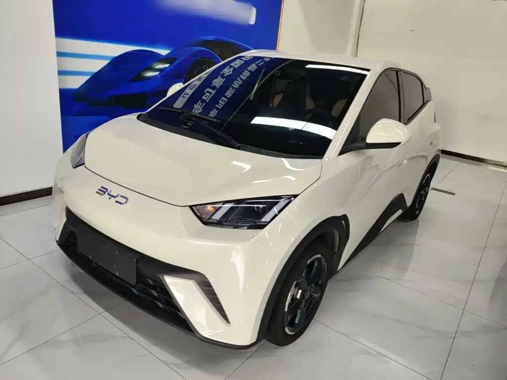 BYD Seagull 2024