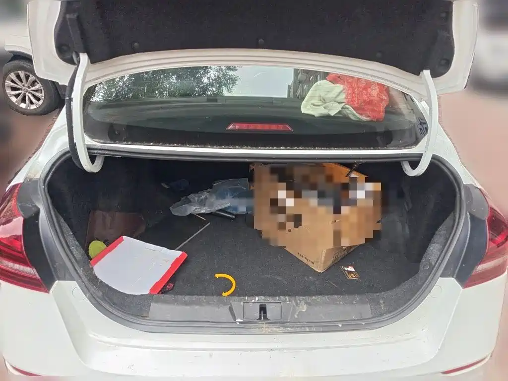 Фото 20 - Geely Emgrand