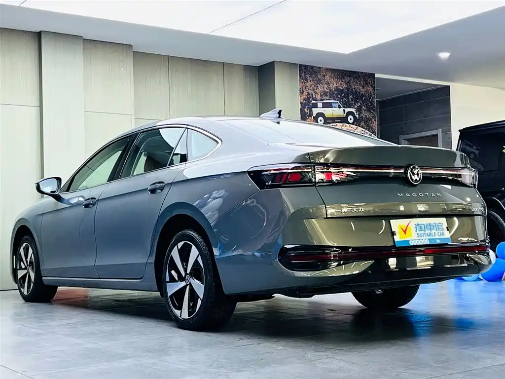 Volkswagen Magotan 2024 300TSI DSG Premium Edition (Eye-catching Package) фото 6