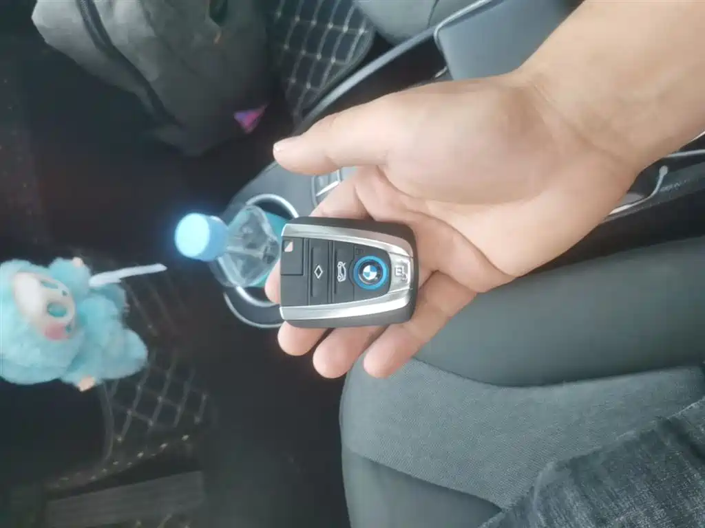 BMW i3 (Import) 2019 2018 Luxury Edition