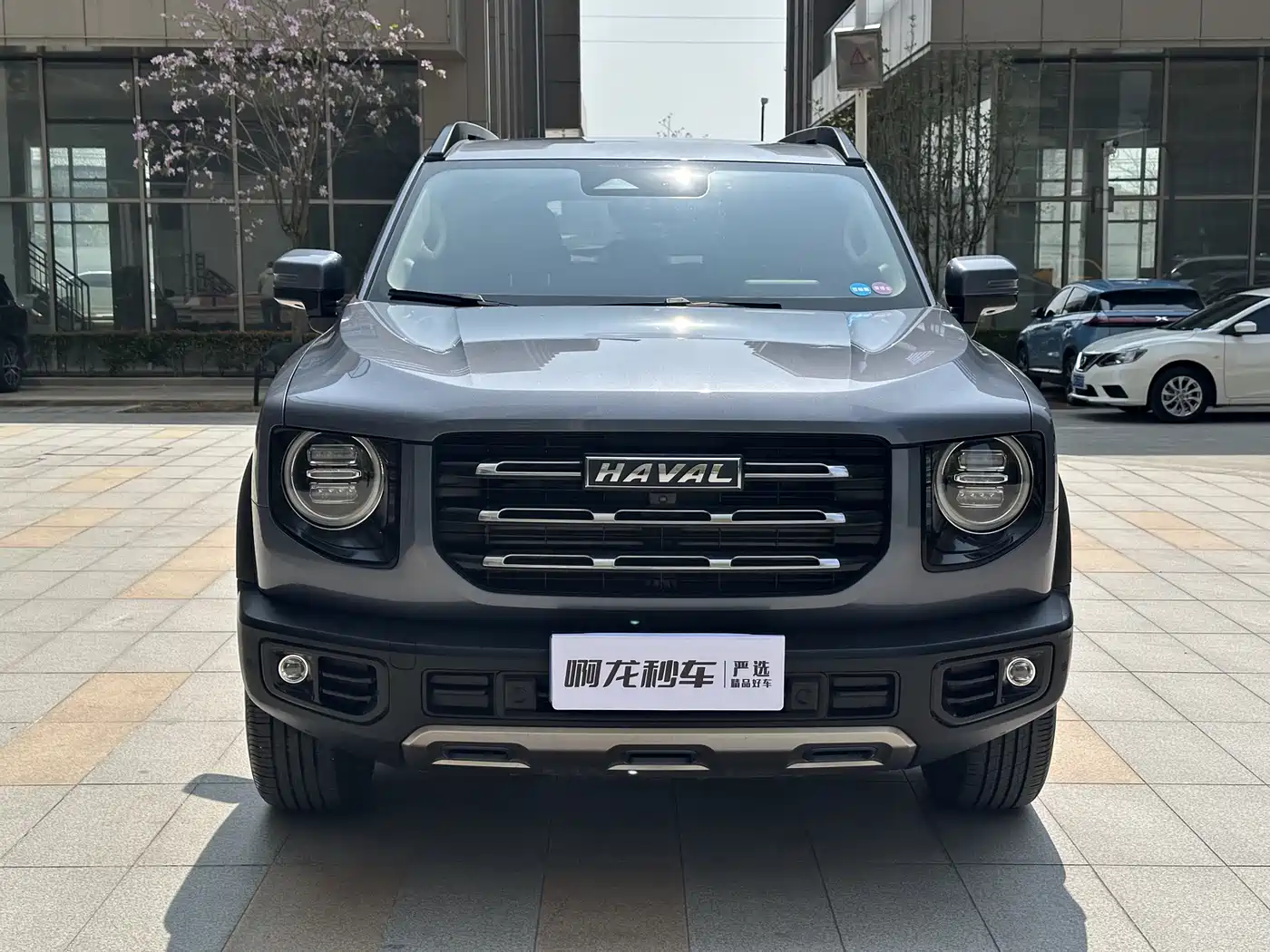 HAVAL BIG DOG