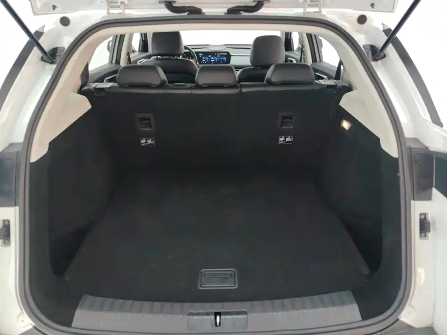 2024 BAIC Beijing X7