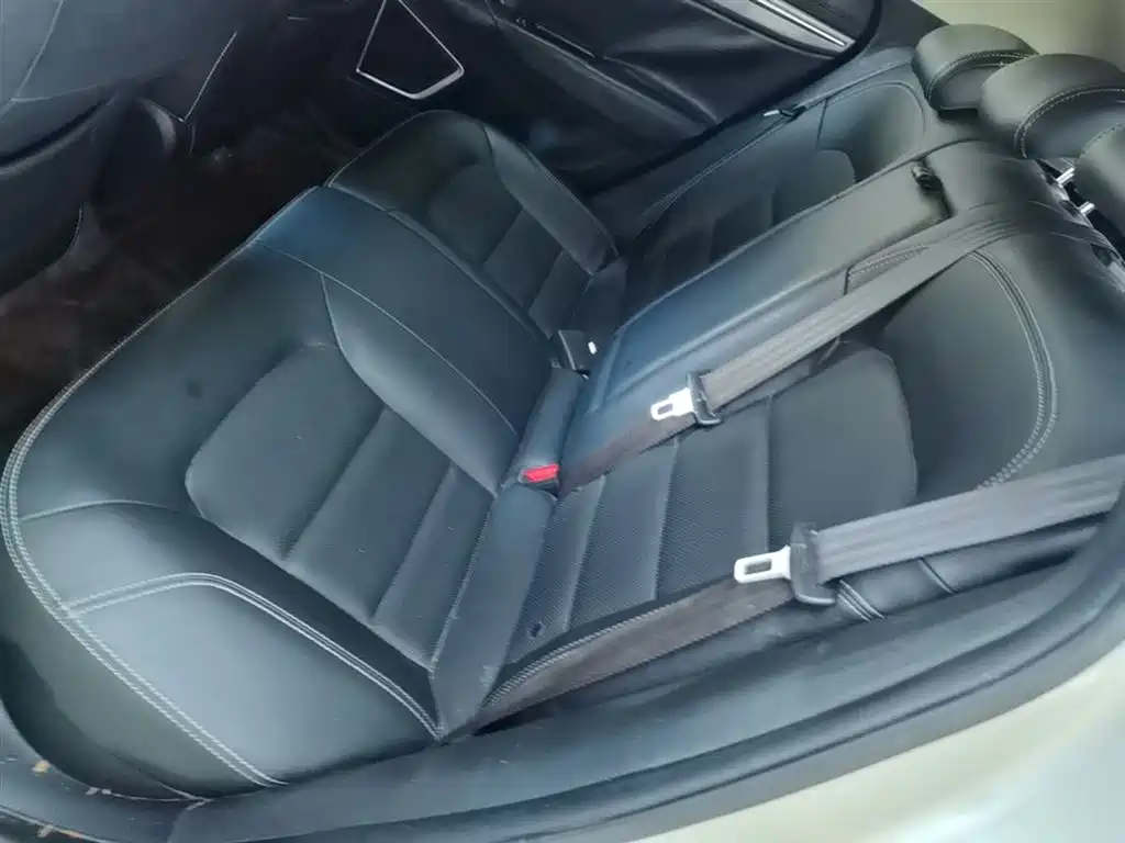 Фото 17 - Geely Emgrand GS