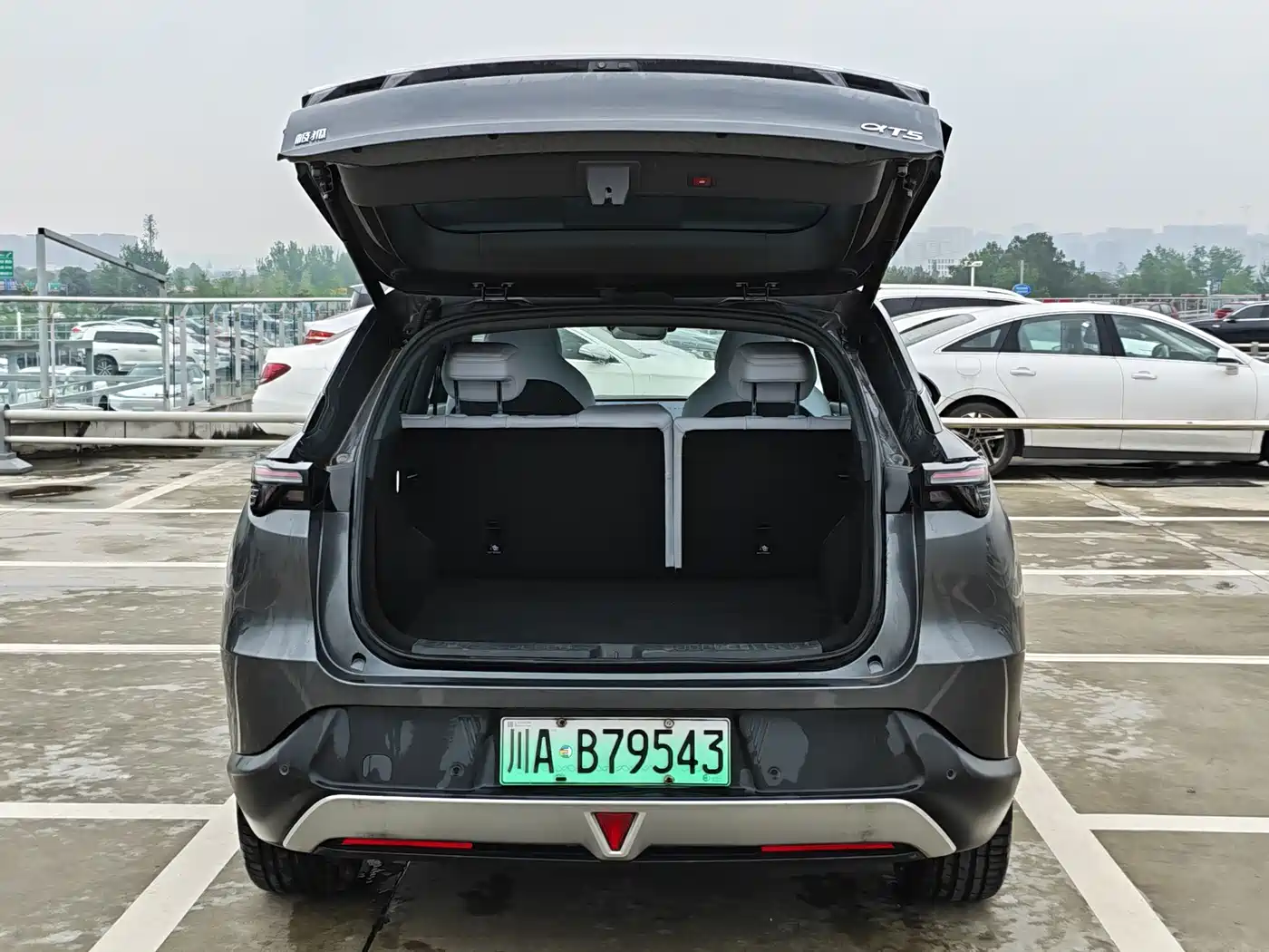 ARCFOX EXTREME FOX POLAR FOX ALPHA T5