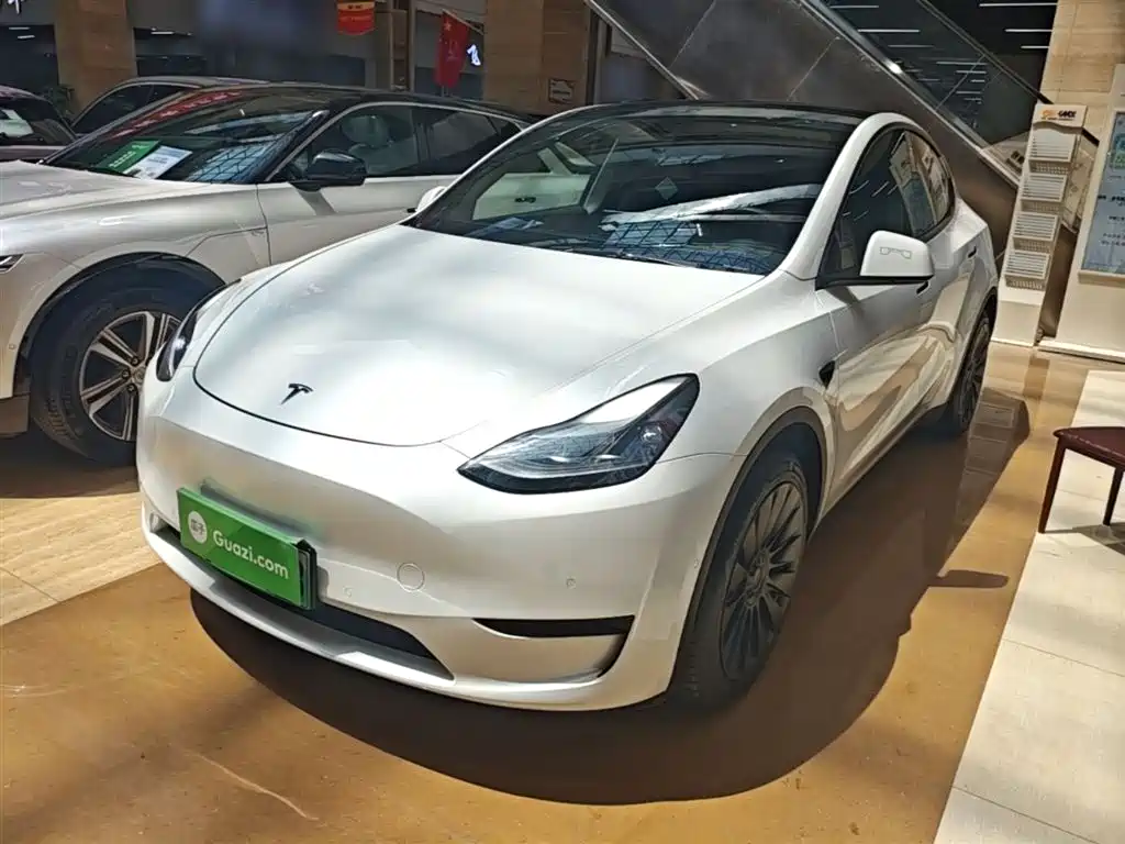 Tesla Model Y 2022 Rear-Wheel Drive Version