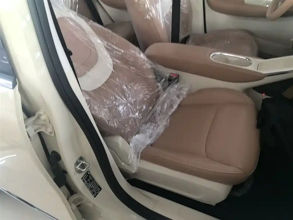 Wuling Motors Wuling Bingo 2026 2025 Model 333km Joy Edition