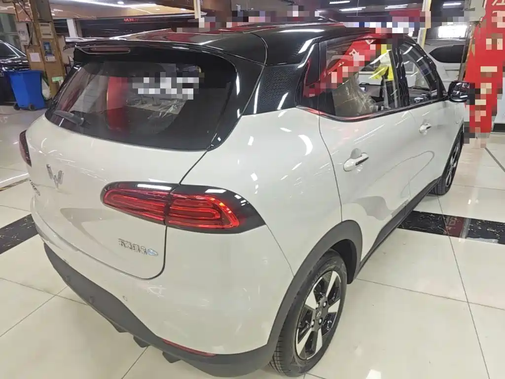 Wuling Motors Wuling Binguo PLUS 2026 2024 401km Range 5-seater
