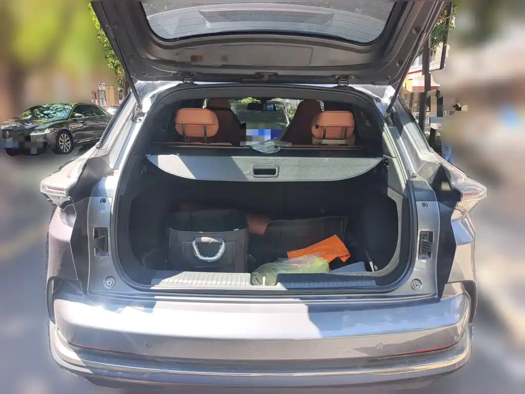 Nezha Auto Nezha X 2024 2023 500