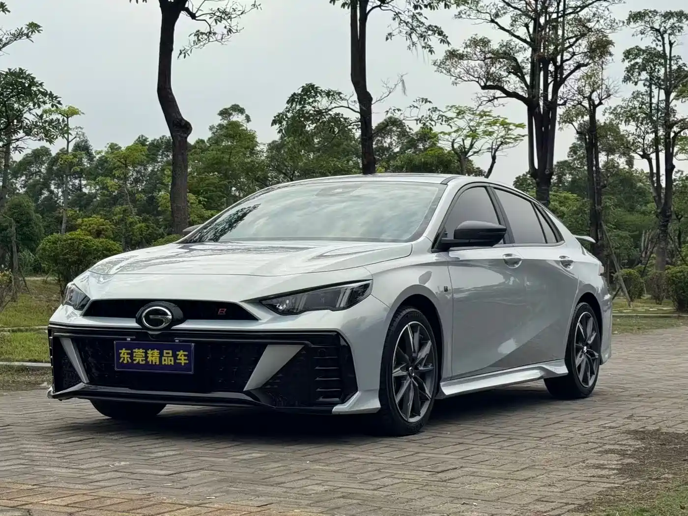 GAC TRUMPCHI SHADOW LEOPARD