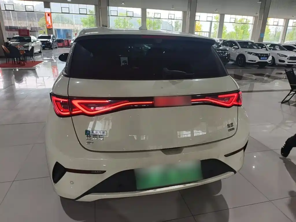 BYD Dolphin 2026 2025 Smart Drive Edition 420km Freedom Version