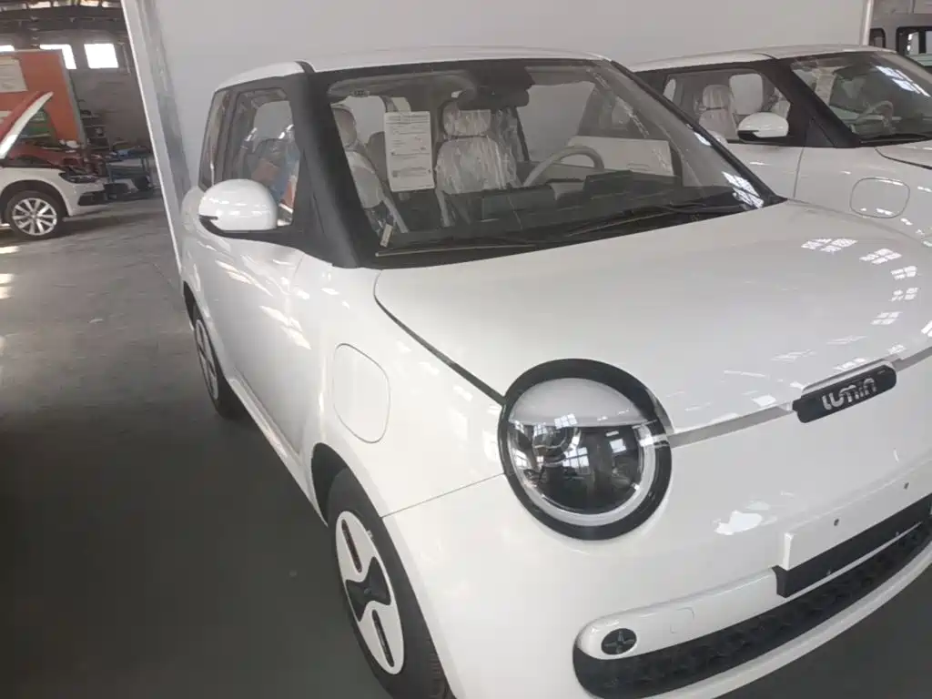 Changan Lumin 2026 2026 Model 205km Treasure Edition