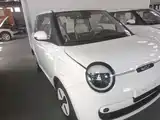 Photo 4 - Changan Lumin