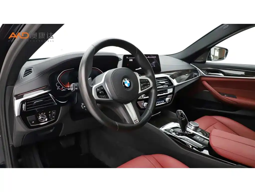 BMW 5 Series 2020 530Li Exclusive M Sport Package фото 6