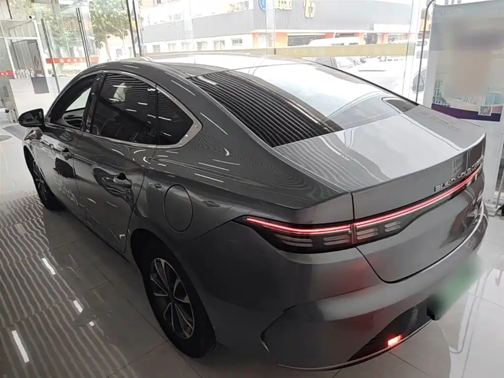 BYD Destroyer 05 2024 Glory Edition DM-i 55KM Luxury фото 5