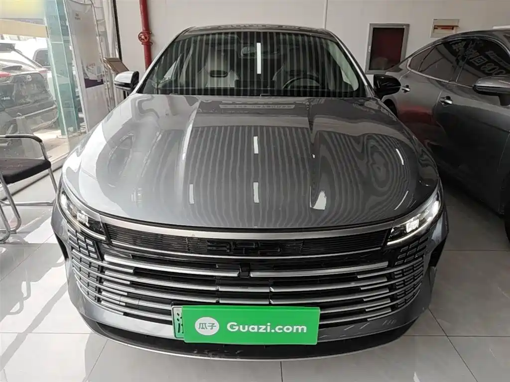 BYD Destroyer 05 2024 Glory Edition DM-i 55KM Luxury фото 3