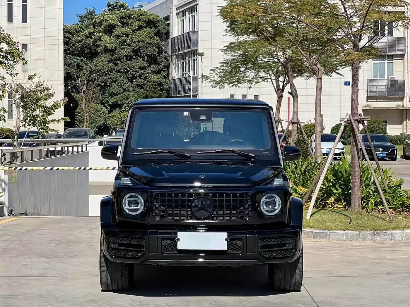 Mercedes-Benz G-Class 2019 G 500 фото 2