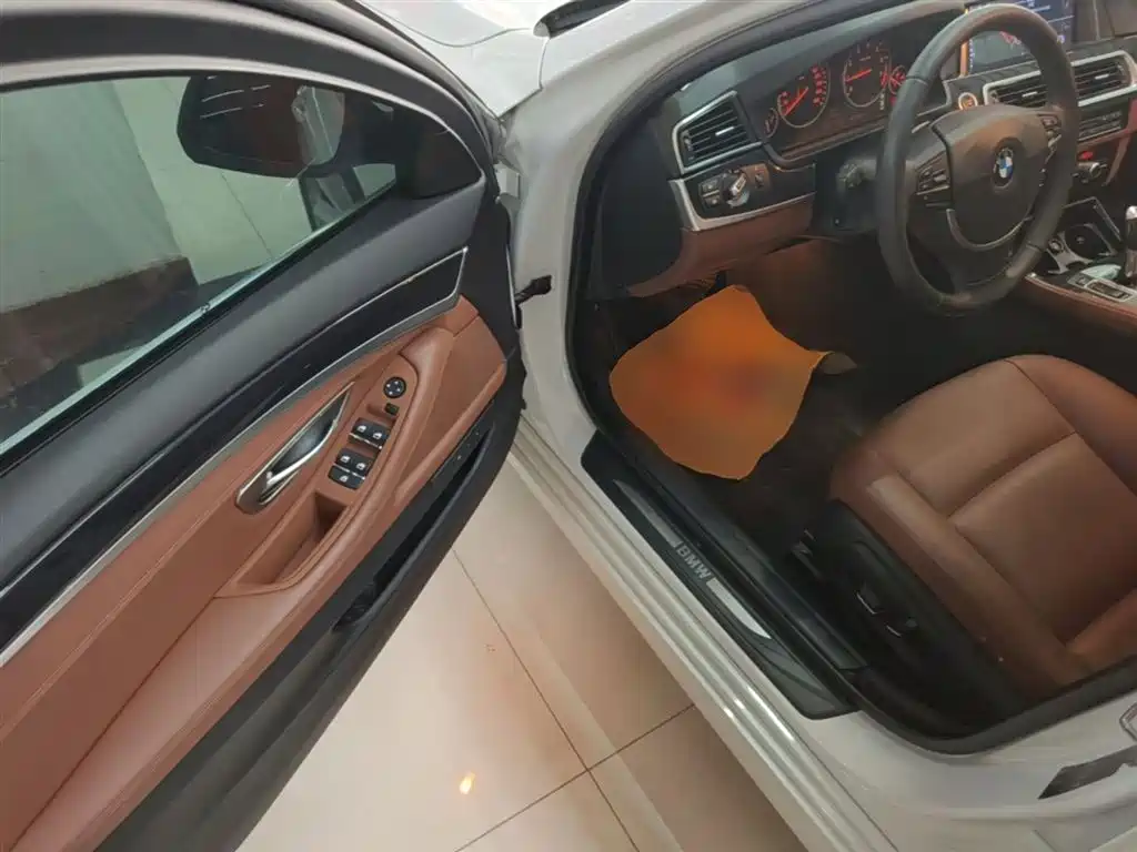 BMW 5 Series (Import) 2015 520i Elegance фото 15