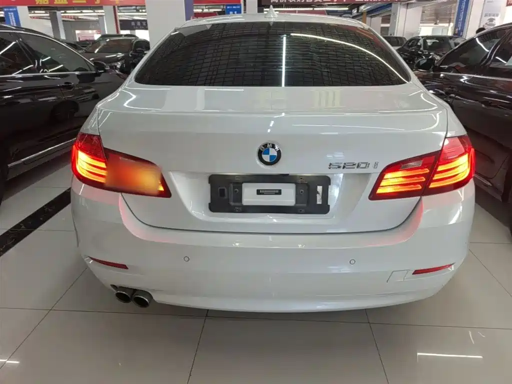 BMW 5 Series (Import) 2015 520i Elegance фото 5
