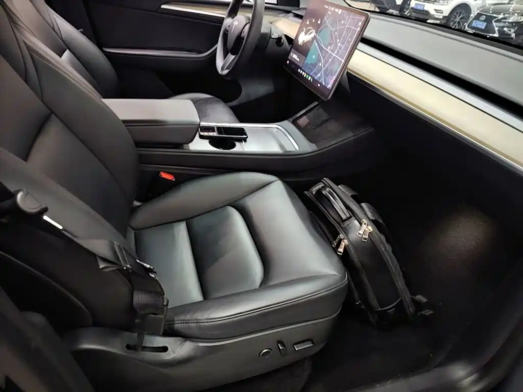 Tesla Model Y 2021 2021 Long Range All-Wheel Drive 3D7