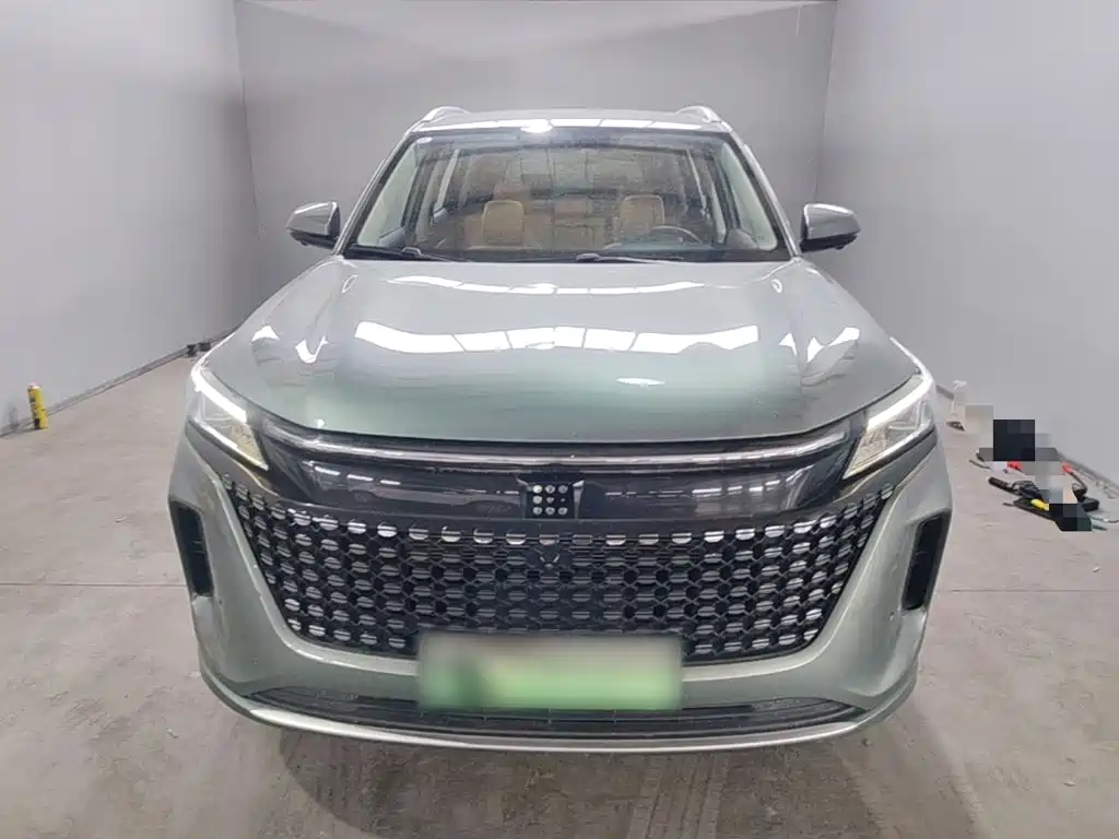 Landian E5 2024 2023 1.5L DE-i 100KM Premium 7-Seater