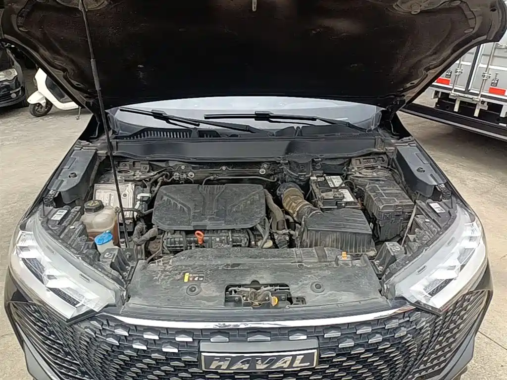 Haval H6 2021 Model 3rd Generation 2.0T Auto AWD Supreme+ фото 20