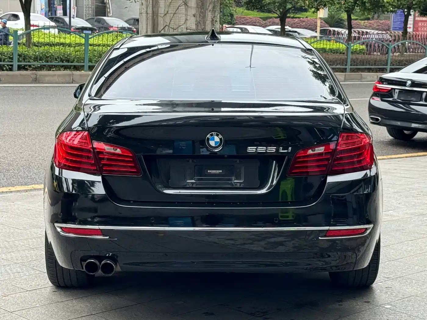 BMW 5 Series 2014 525Li Luxury Design Package фото 16