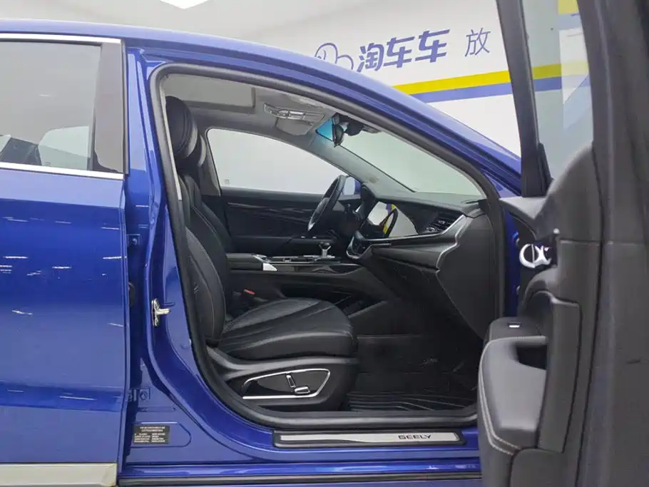 Фото 8 - Geely Borui